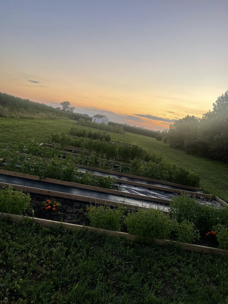 farm pic beds